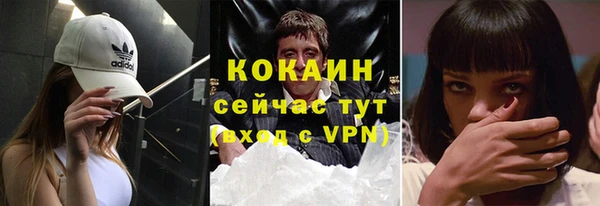 крисы Гвардейск